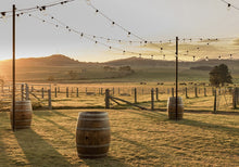 Load image into Gallery viewer, Hunter Medical Ball eTicket